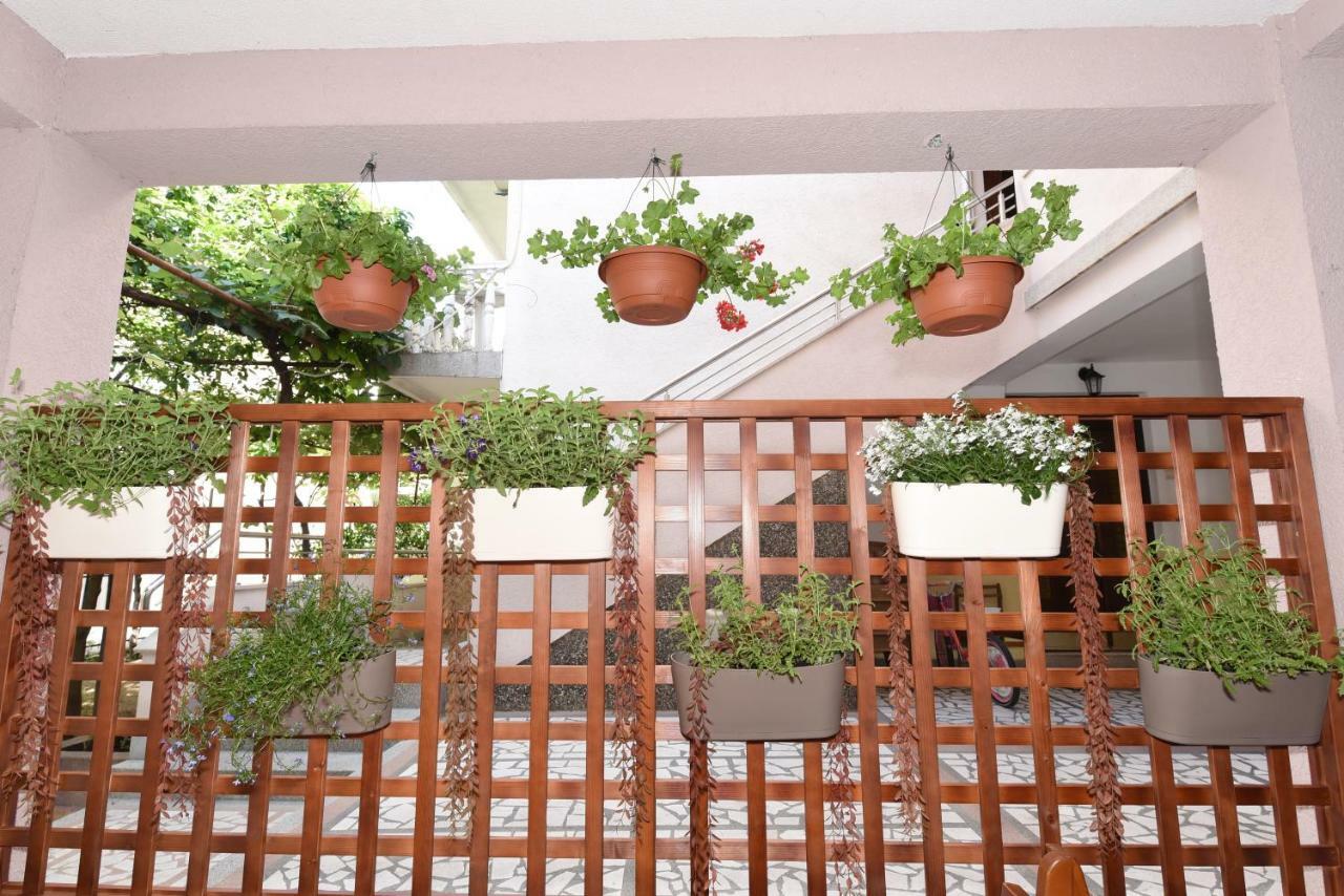 Guest House Zec 부드바 외부 사진